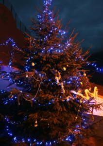 2025 Arbre de Noël-01