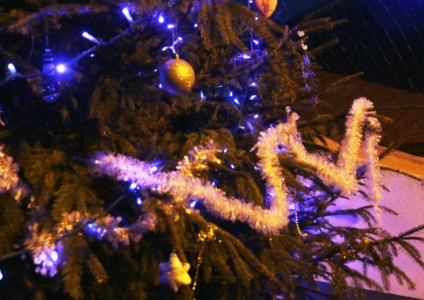 2025 Arbre de Noël-05