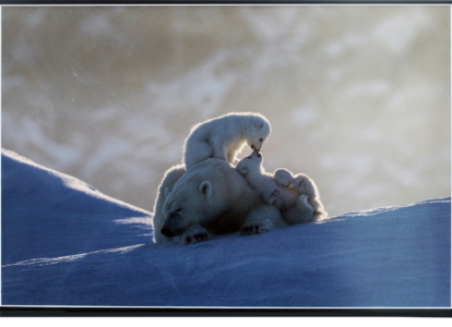 2026 11-04 Guernica 38