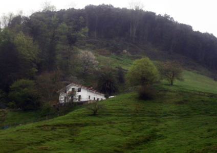 2026 11-04 Guernica 5